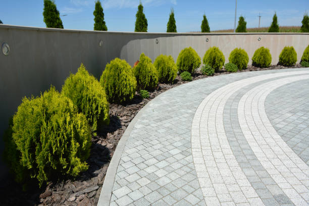 Driveway Repair Near Me in Guilford Center, CT